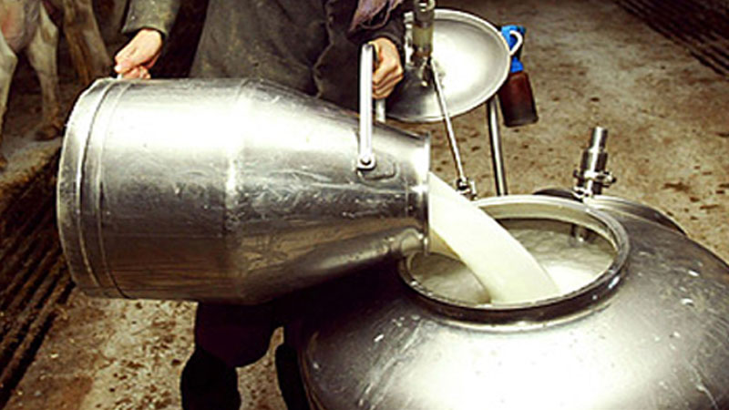 Milk-pots-1b