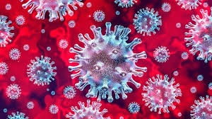 کورونا نے مزید 56 افراد کی جان لے لی، 2665 میں وائرس کی تصدیق