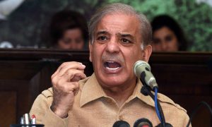 گورنر راج اور ایمرجنسی نہ لگاتے تو مزید نقصان پہنچ سکتا تھا۔وزیراعظم