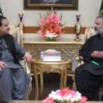 Usman Buzdar meets Nawabzada Shah Zain Bugti