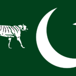 PMLN_2021_Flag
