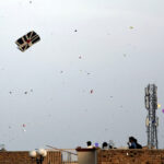 kites in Rawalpindi – Feb 2022