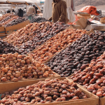 سعودی عرب، کھجوروں کی برآمدات میں 5.4 فیصد سالانہ اضافہ