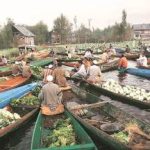 Kashmir Economy – boats – sellers