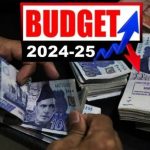 budget-2024-25