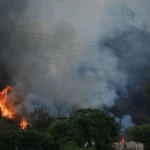 سینیٹ قائمہ کمیٹی .. مارگلہ ہلز میں آتشزدگی واقعات کی تعداد بارے سی ڈی اے اور وزارتی بریفنگ میں تضاد