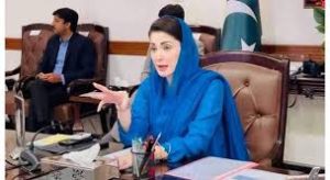 مریم نواز شریف سے محمد احمد خان کی ملاقات