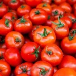 کراچی میں ٹماٹر کی قیمت میں 700روپے فی کلو تک پہنچ گئی