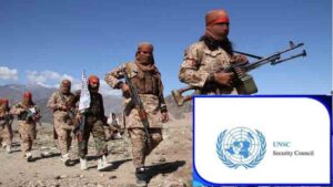 ٹی ٹی پی کو افغانستان میں آزادی پاکستان میں کشیدگی میں اضافہ کا سبب