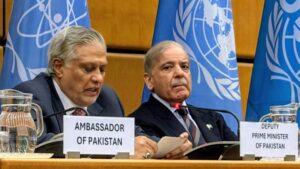 بھارت نے سندھ طاس معاہدہ معطل کیا، پانی کو ہتھیار بنانے کی دھمکی دی: وزیر اعظم